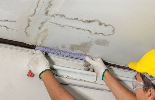 Reliable Flood Cleanup contractor in Nunica, MI by Water Damage Irwin